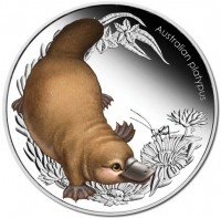 Australian Platypus. P. EM.