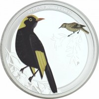 REGENT BOWERBIRD. NM P.