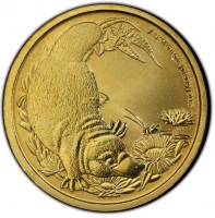 Australian platypus. P EM.