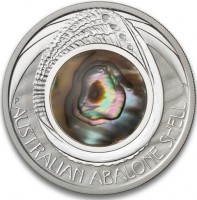 AUSTRALIAN ABALONE SHELL. P TV.