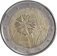 CENTAUREA CYANUS. EESTI. 2024.