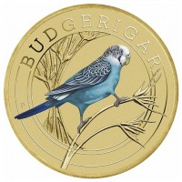 BUDGERIGAR. P. NM.