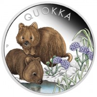 QUOKKA. P. SR.
