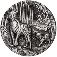 虎. TIGER. 2022. P. JM.