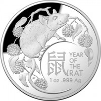 鼠. YEAR. OF. THE. RAT.