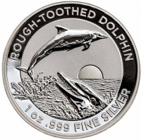 ROUGH-TOOTHED DOLPHIN. 1 oz999 FINE SILVER.