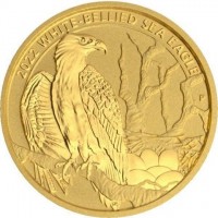 2022 WHITE BELLIED SEA EAGLE. P. SR.