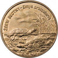 Poland coin 2 Złote - European Swamp Turtle (2002) reverse reverse of 2 Złote - European Swamp Turtle (2002) coin with Y# 427 from Poland. Inscription: ŻÓŁW BŁOTNY - Emys orbicularis