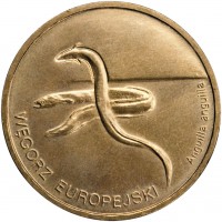 Poland coin 2 Złote - European Eels (2003) reverse reverse of 2 Złote - European Eels (2003) coin with Y# 445 from Poland. Inscription: WĘGORZ EUROPEJSKI Anguilla anguilla