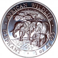 Somalia coin 100 Shillings - Elephant - Silver Bullion (2013) reverse reverse of 100 Shillings - Elephant - Silver Bullion (2013) coin from Somalia. Inscription: AFRICAN WILDLIFE ELEPHANT . 1 oz Ag 999