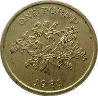 Guernsey coin 1 Pound - Elizabeth II (1981) reverse reverse of 1 Pound - Elizabeth II (1981) coin with KM# 37 from Guernsey. Inscription: ONE POUND 1981