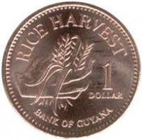 Guyana coin 1 Dollar (1996 - 2012) reverse reverse of 1 Dollar (1996 - 2012) coin with KM# 50 from Guyana. Inscription: RICE HARVEST 1 DOLLAR BANK OF GUYANA