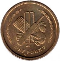 reverse of 1 Pound - Elizabeth II - 4'th Portrait (1998 - 1999) coin with KM# 906 from Isle of Man. Inscription: ONE POUND