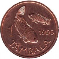 Malawi coin 1 Tambala (1995) reverse reverse of 1 Tambala (1995) coin with KM# 33 from Malawi. Inscription: 1 1995 TAMBALA