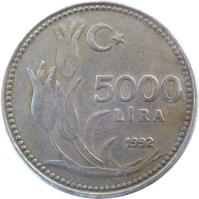 Turkey coin 5000 Lira (1992 - 1994) reverse reverse of 5000 Lira (1992 - 1994) coin with KM# 1025 from Turkey. Inscription: 5000 LIRA 1995