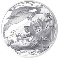 Austria coin 20 Euro - Triassic (2013) reverse reverse of 20 Euro - Triassic (2013) coin with KM# 3220 from Austria.