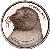 obverse of 1 Lira - Monk Seal (2013) coin from Turkey. Inscription: AKDENIZ FOKU