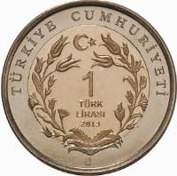 reverse of 1 Lira - Monk Seal (2013) coin from Turkey. Inscription: TÜRKIYE CUMHURIYETI 1 TÜRK LIRASI 2013