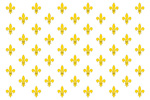 France Kingdom flag
