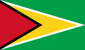 Guyana Co-operative Republic flag